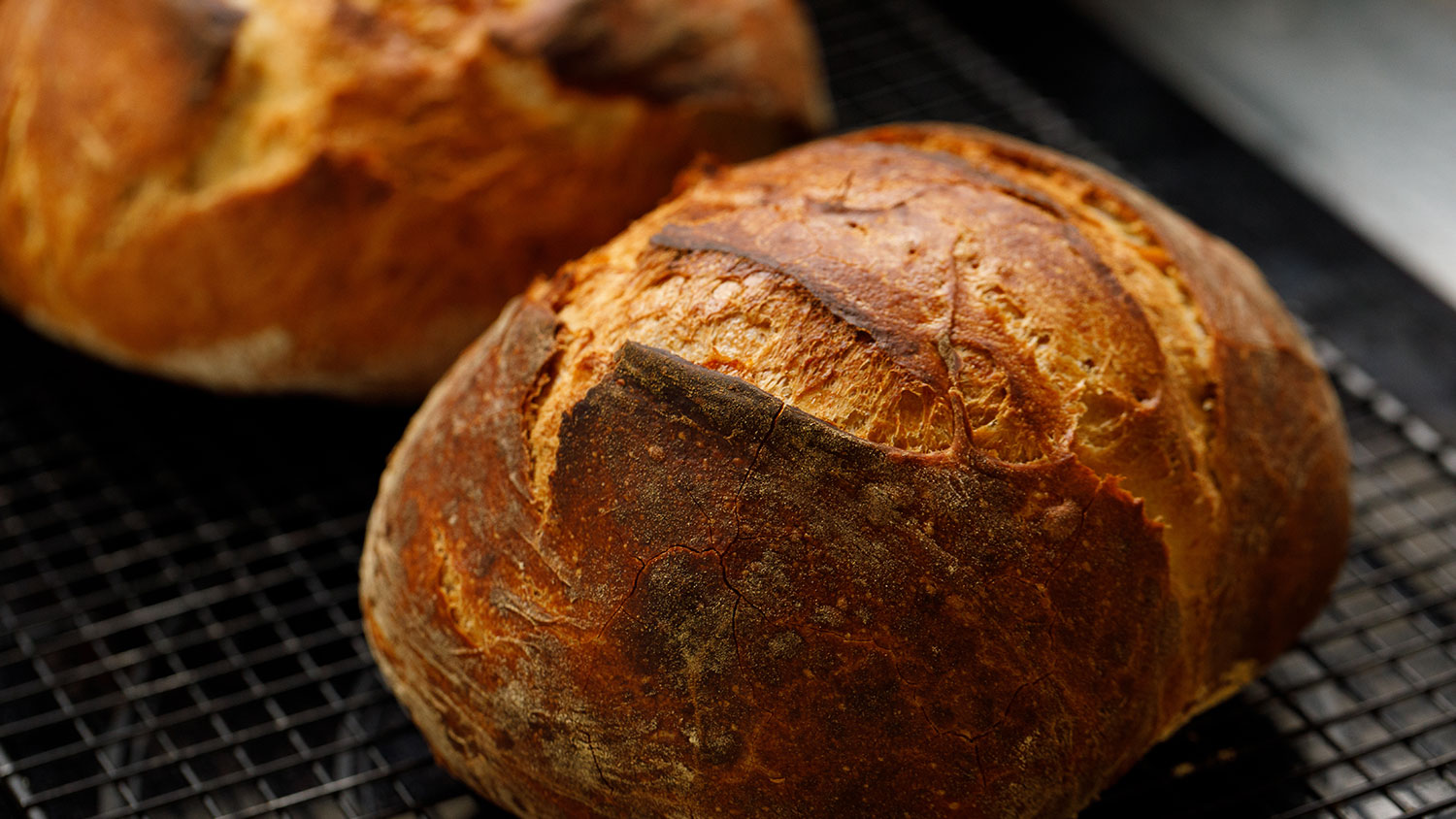 SAME-DAY Sourdough Bread - No Kneading, No Fancy Tools!😎 