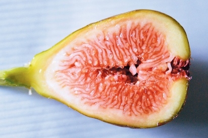 A cross-section of a fig
