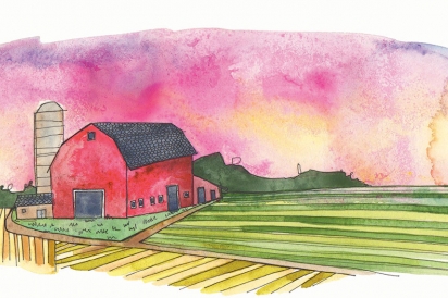 A barn in the middle of a field. 