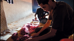Young man dicing a camel in the Libyan desert