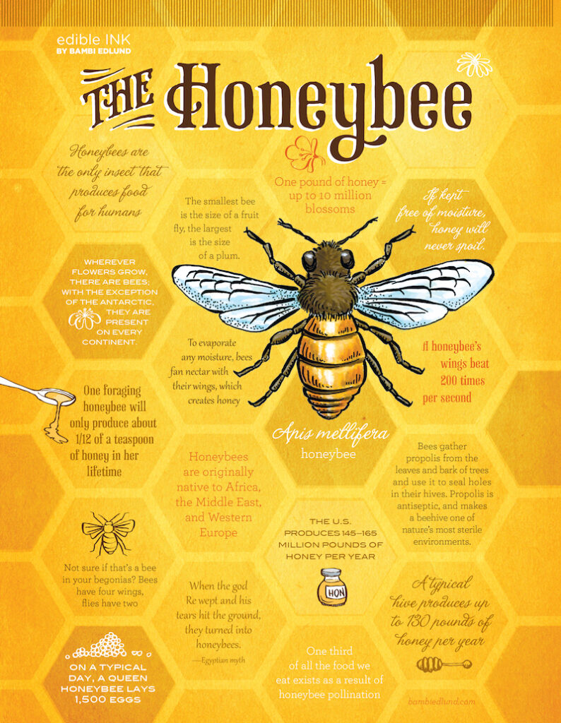 EdibleInk_Honeybee.jpg