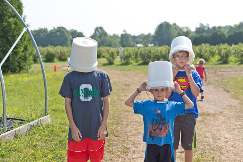 blueberry ranch mishawaka largest certified organic blueberry farm in midwest boys