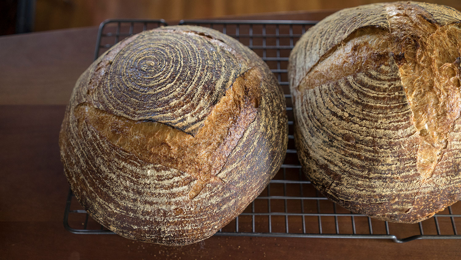 no-knead-sourdough-recipe.jpg