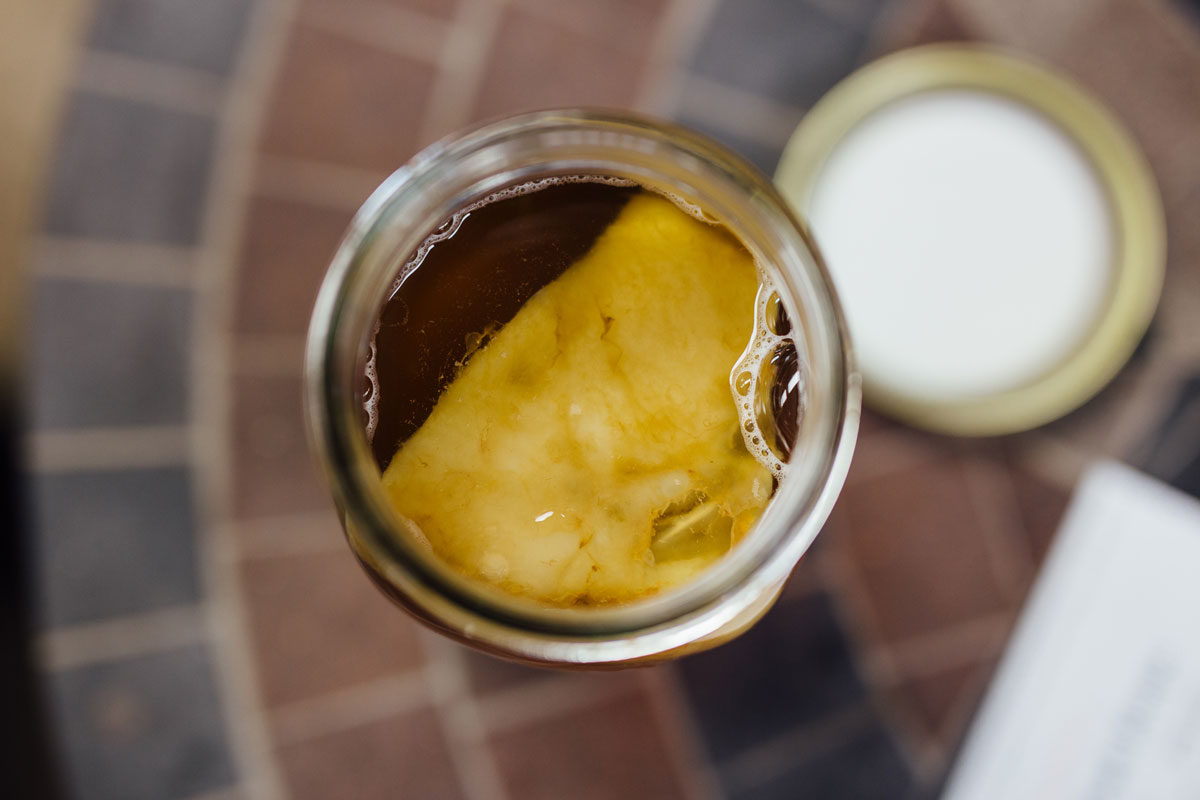 Brew-your-own-kombucha.jpg