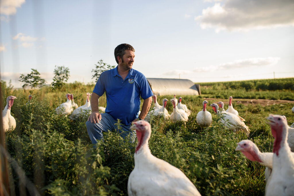 greg-gunthorp-turkeys.jpg