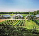 hoophouses-Clay-Bottom-Farm.jpg