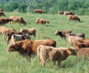 Screen Shot 2014-02-19 at 2.02.18 PM.png