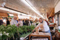 South-Bend-Farmer-Market-Bob-Vite.jpg