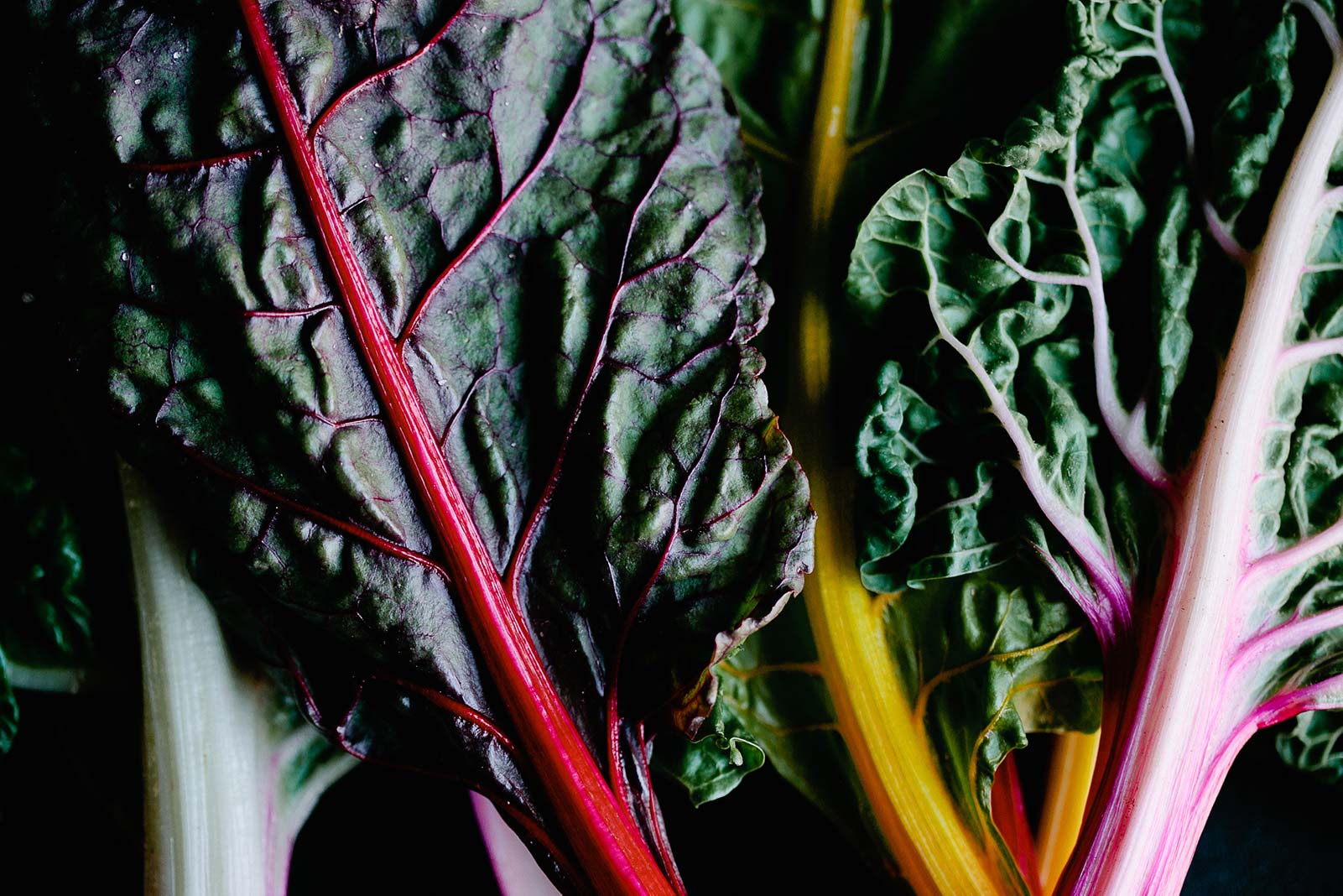 swiss-chard-recipes.jpg