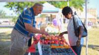southwest-michogan-farmers-markets.jpg