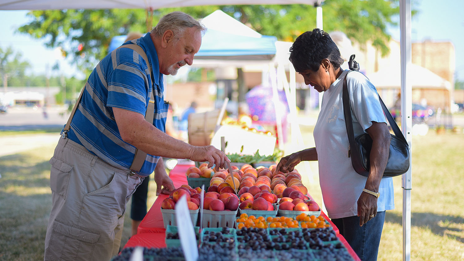 southwest-michogan-farmers-markets.jpg
