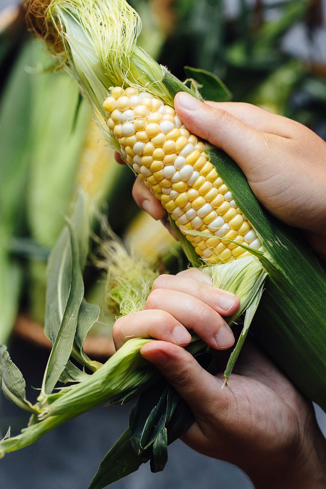 sweet-corn-recipes.jpg