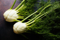 fennel_008.jpg